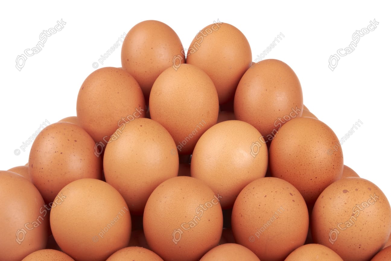 BV380 Egg